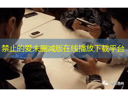 禁止的愛未刪減版在線播放下載平臺