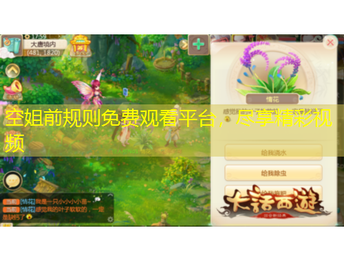 空姐前規(guī)則免費(fèi)觀看平臺，盡享精彩視頻