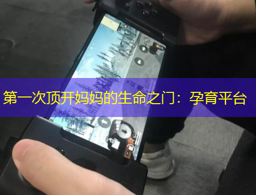 第一次頂開媽媽的生命之門：孕育平臺