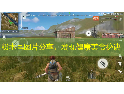 粉木耳圖片分享，發(fā)現(xiàn)健康美食秘訣