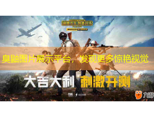 臭鼬圖片展示平臺，發(fā)現(xiàn)更多驚艷視覺