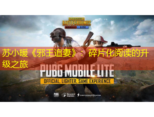 蘇小暖《邪王追妻》：碎片化閱讀的升級之旅