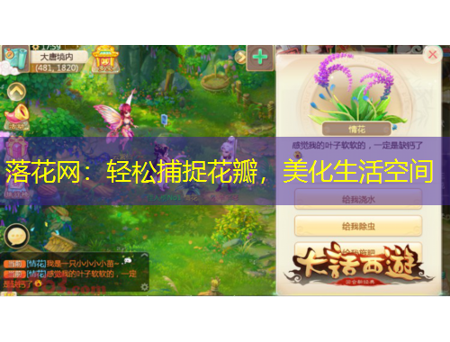 落花網(wǎng)：輕松捕捉花瓣，美化生活空間