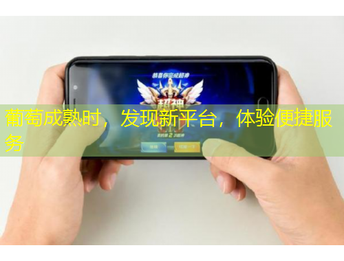 葡萄成熟時(shí)，發(fā)現(xiàn)新平臺(tái)，體驗(yàn)便捷服務(wù)