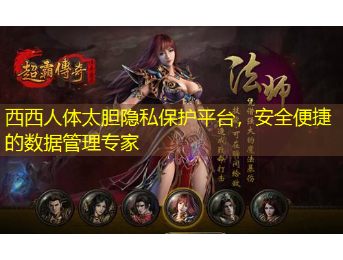 西西人體太膽隱私保護(hù)平臺(tái)，安全便捷的數(shù)據(jù)管理專(zhuān)家