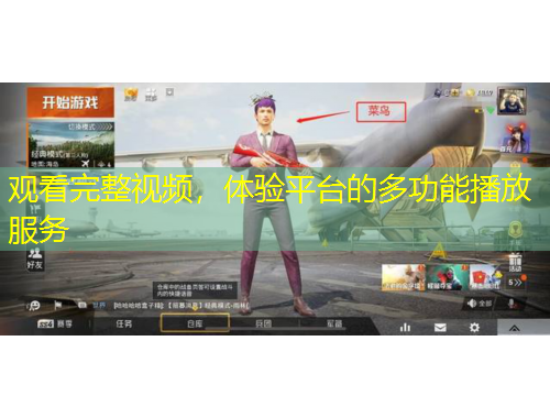 觀看完整視頻，體驗(yàn)平臺(tái)的多功能播放服務(wù)