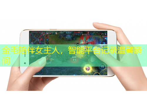 金毛陪伴女主人，智能平臺(tái)記錄溫馨瞬間