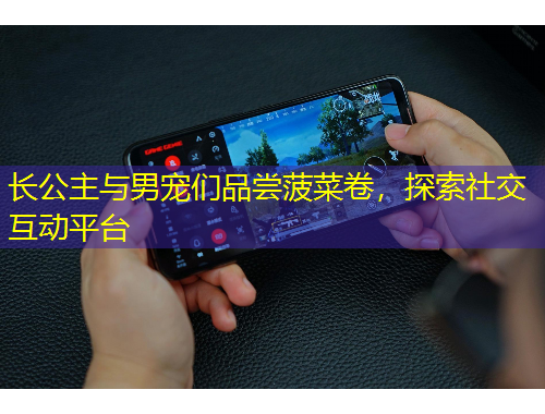 長(zhǎng)公主與男寵們品嘗菠菜卷，探索社交互動(dòng)平臺(tái)