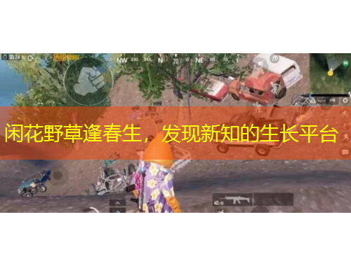 閑花野草逢春生，發(fā)現(xiàn)新知的生長平臺(tái)