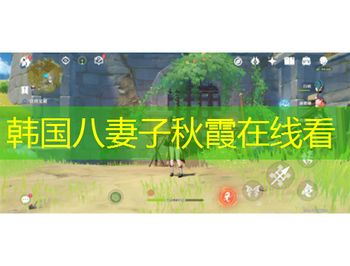 韓國(guó)八妻子秋霞在線看