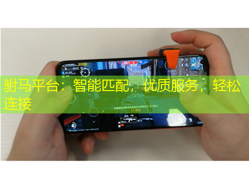 駙馬平臺：智能匹配，優(yōu)質(zhì)服務(wù)，輕松連接