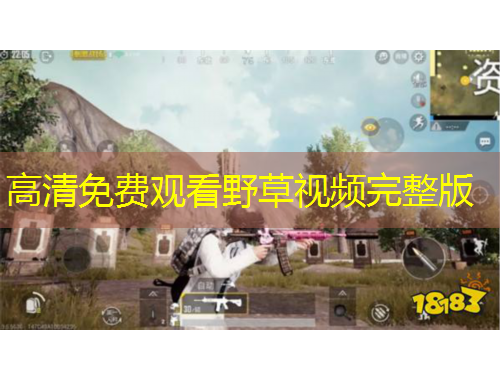 高清免費觀看野草視頻完整版