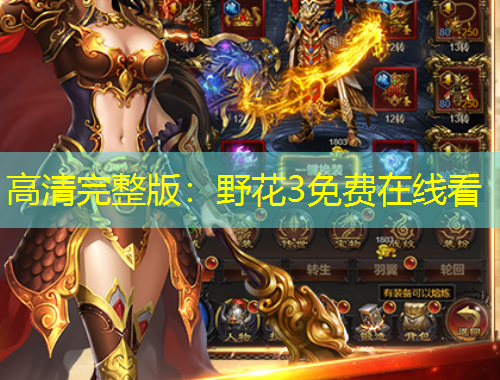 高清完整版：野花3免費在線看