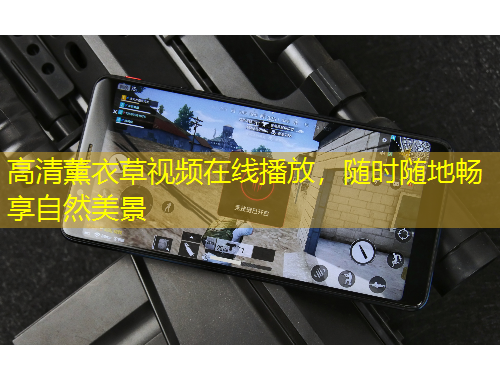 高清薰衣草視頻在線播放，隨時(shí)隨地暢享自然美景