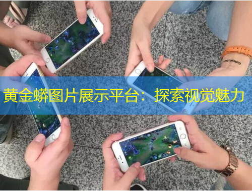 黃金蟒圖片展示平臺：探索視覺魅力