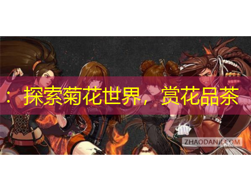 ：探索菊花世界，賞花品茶